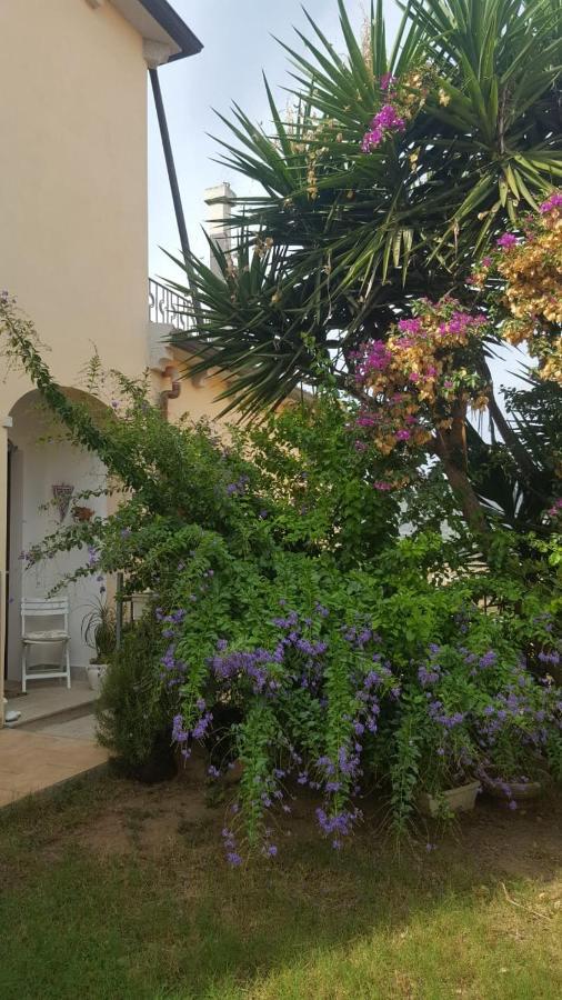 B&B Villa Orchidea Olbia Luaran gambar