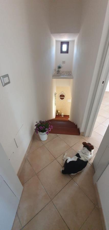 B&B Villa Orchidea Olbia Luaran gambar