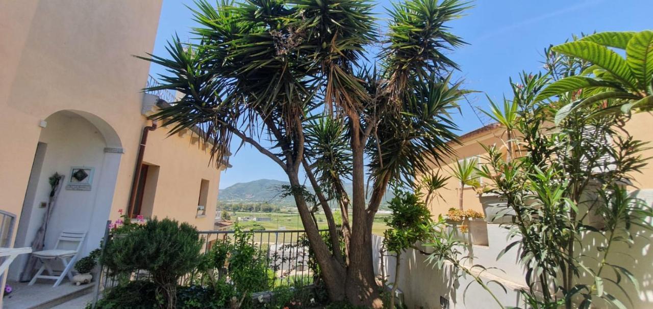 B&B Villa Orchidea Olbia Luaran gambar